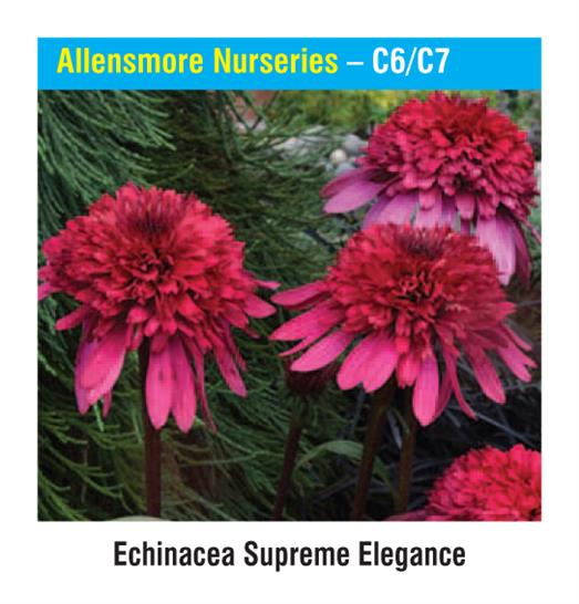 Allensmore Nurseries